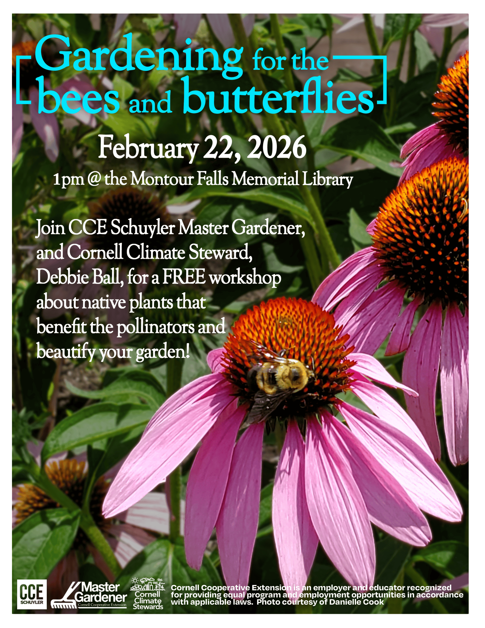 Gardening for the bees and butterflies. Photo of a wildflower with a bee on it. Promoting a native pollinator planting workshop at the Montour Falls Library