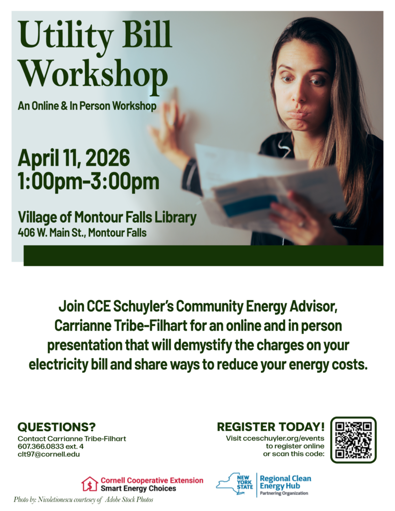 Utility Bill Workshop. White background with black lettering. Picture of a woman looking at her utility bill.